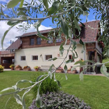 Promschhof Apartment Semriach Exterior photo